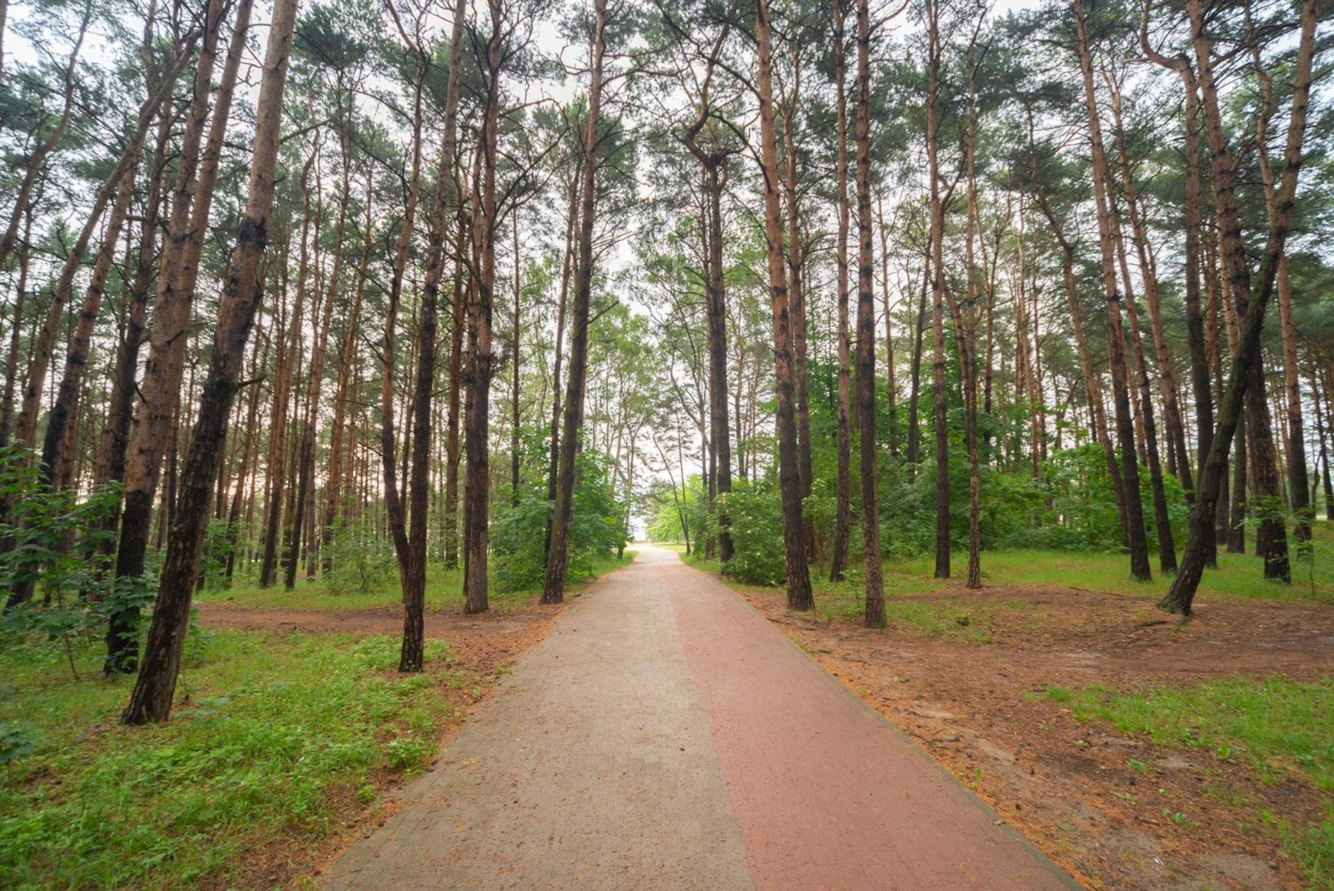 Apartament Wygodny Sopot Exteriör bild